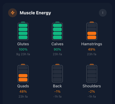 Screenshot of the analytics page showing muscle recovery status